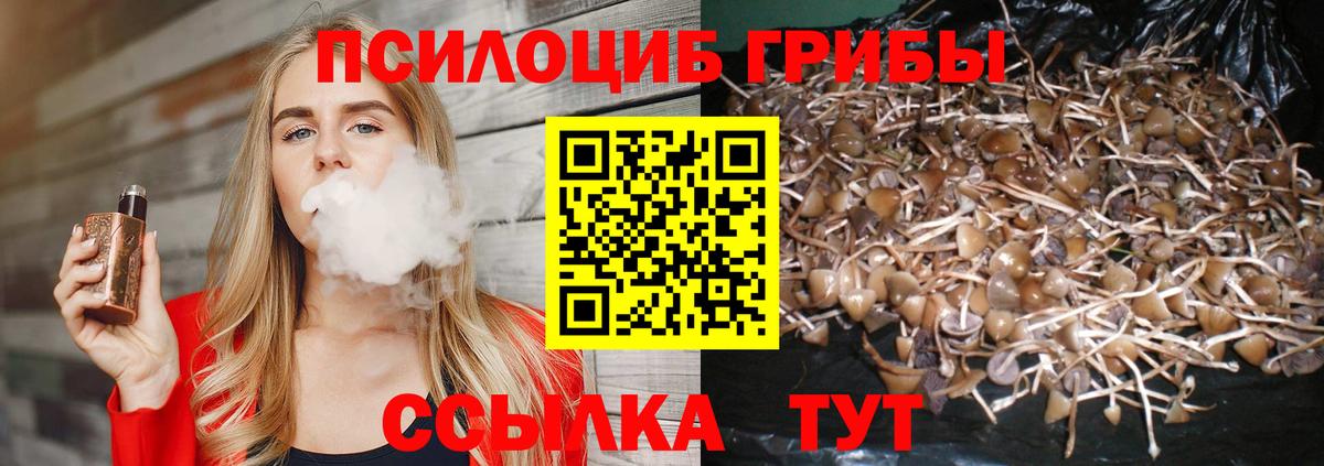 Псилоцибиновые грибы ЛСД  Вход с VPN  Псилоцибиновые грибы прущие грибы  Орехово-Зуево 